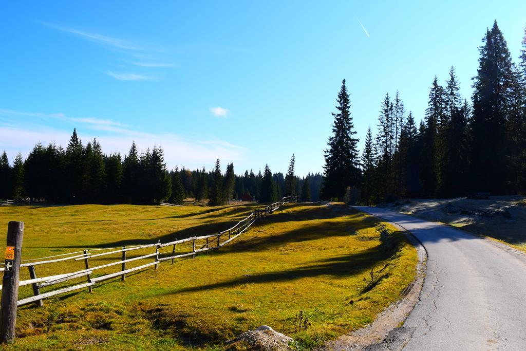 Chalet Pokljuka Goreljek 外观 照片