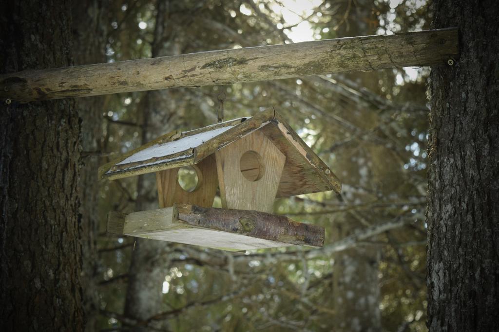 Chalet Pokljuka Goreljek 外观 照片